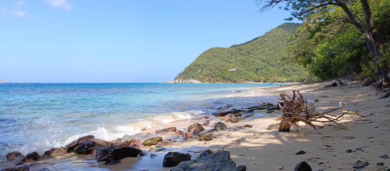 Mirador Playa Cristal Tayrona Hotel Nenguange Екстериор снимка